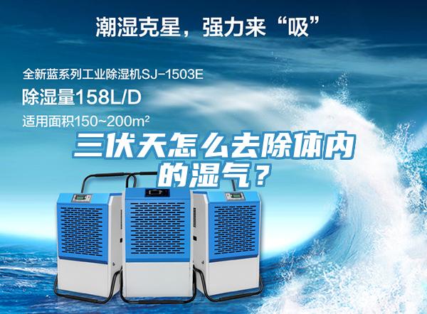 三伏天怎么去除體內(nèi)的濕氣？