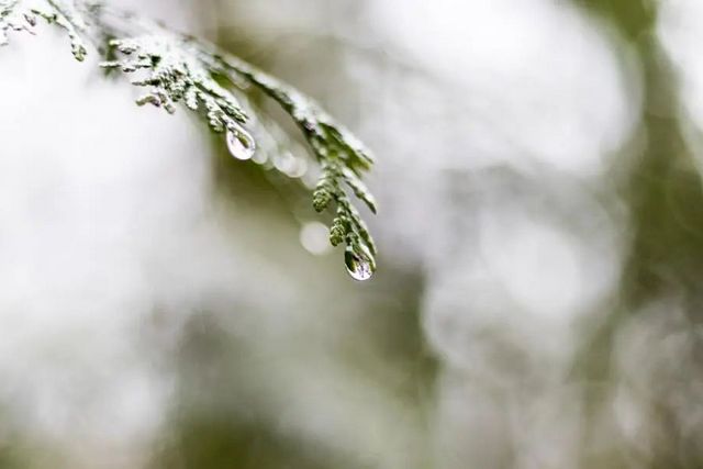 空氣濕度大帶來(lái)的危害有哪些，你知道嗎？