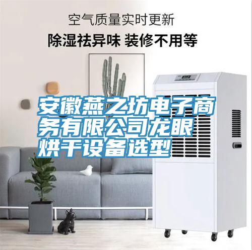 安徽燕之坊電子商務有限公司龍眼烘干設(shè)備選型