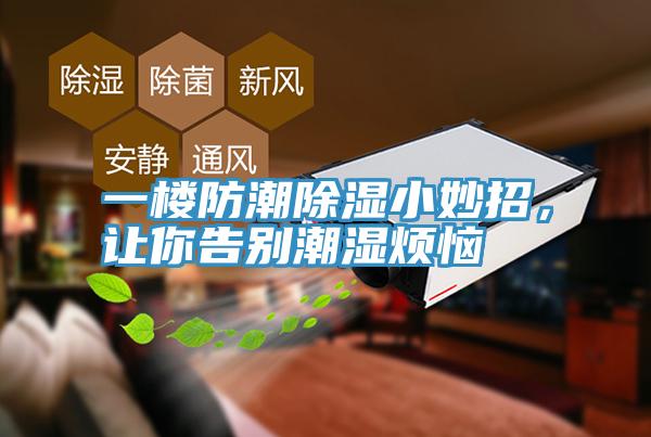 一樓防潮除濕小妙招，讓你告別潮濕煩惱
