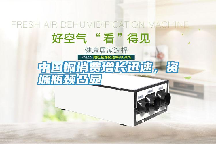 中國銅消費增長迅速，資源瓶頸凸顯