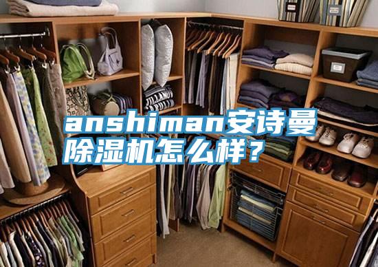 anshiman安詩曼除濕機怎么樣？