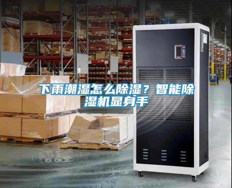 下雨潮濕怎么除濕？智能除濕機(jī)顯身手