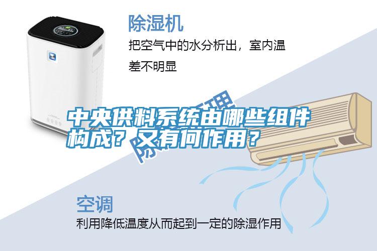 中央供料系統(tǒng)由哪些組件構(gòu)成？又有何作用？