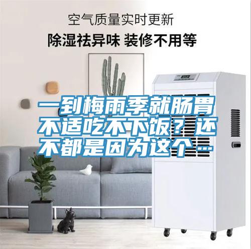 一到梅雨季就腸胃不適吃不下飯？還不都是因?yàn)檫@個(gè)…