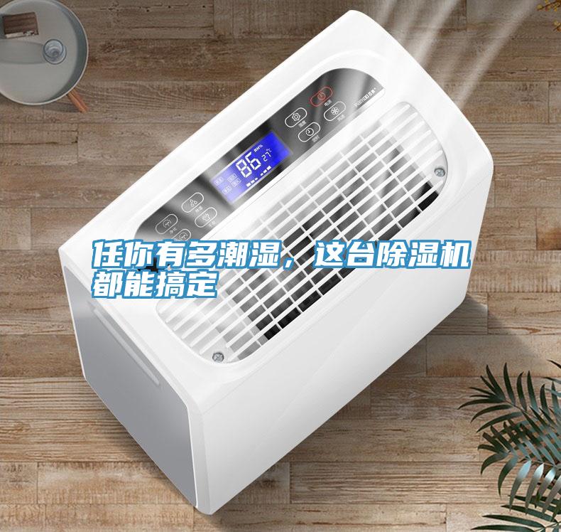 任你有多潮濕，這臺(tái)除濕機(jī)都能搞定
