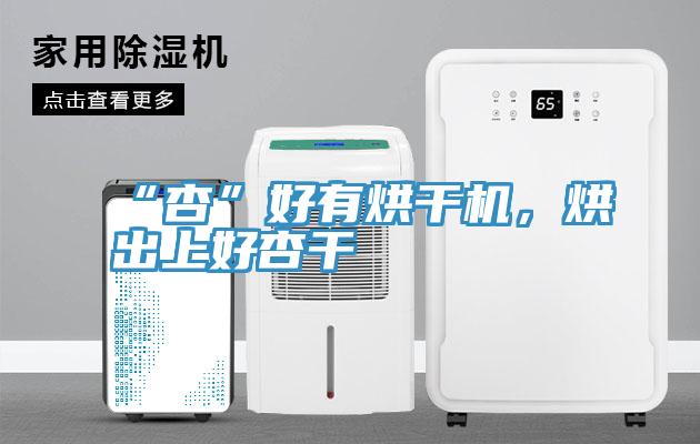 “杏”好有烘干機(jī)，烘出上好杏干