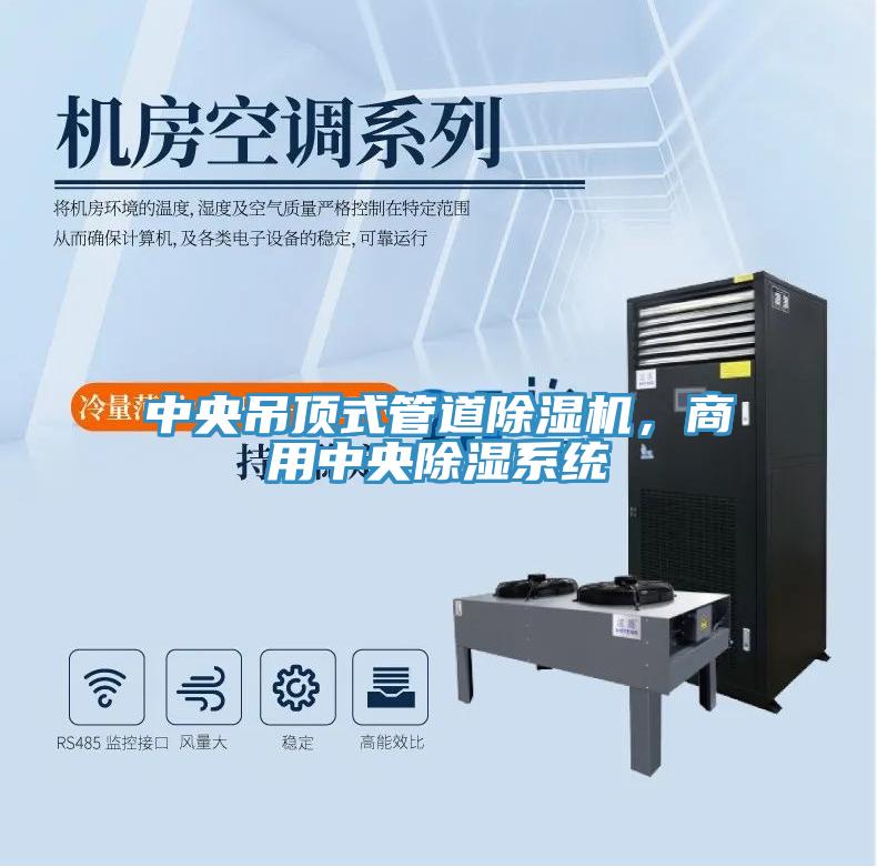中央吊頂式管道除濕機(jī)，商用中央除濕系統(tǒng)