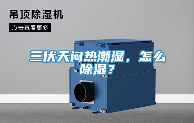 三伏天悶熱潮濕，怎么除濕？