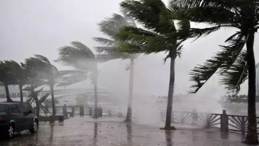8月臺(tái)風(fēng)雨即將來(lái)，除濕機(jī)還得用起來(lái)