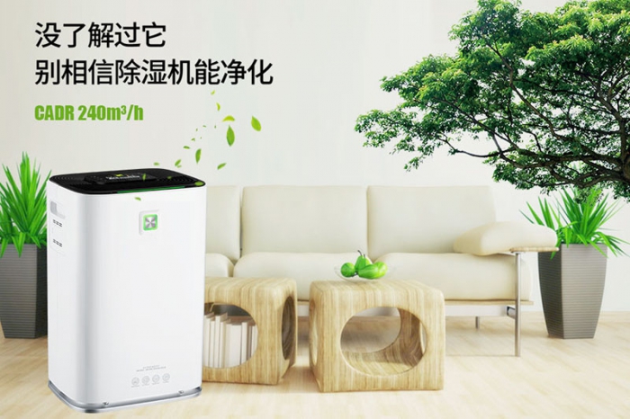 一到回南天狗狗就感冒+皮膚病，怎么辦？