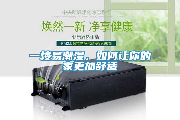 一樓易潮濕，如何讓你的家更加舒適