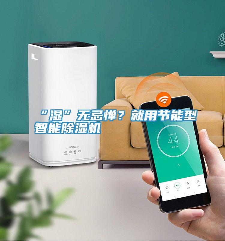 “濕”無(wú)忌憚？就用節(jié)能型智能除濕機(jī)