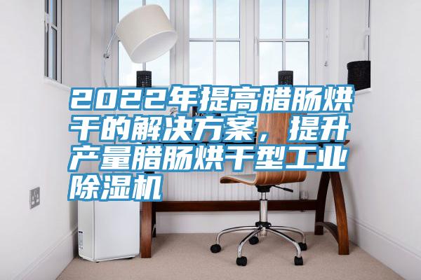 2022年提高臘腸烘干的解決方案，提升產(chǎn)量臘腸烘干型工業(yè)除濕機