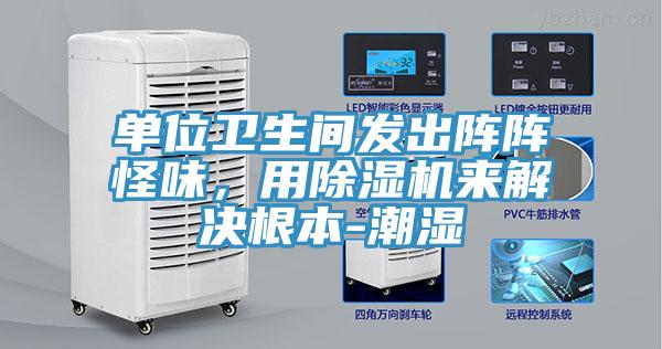 單位衛(wèi)生間發(fā)出陣陣怪味，用除濕機來解決根本-潮濕
