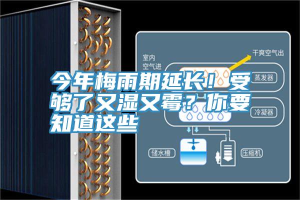 今年梅雨期延長(zhǎng)！受夠了又濕又霉？你要知道這些