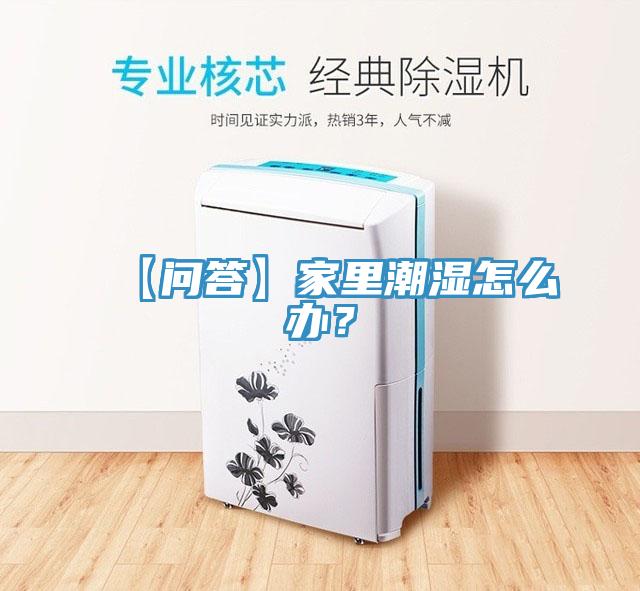 【問答】家里潮濕怎么辦？