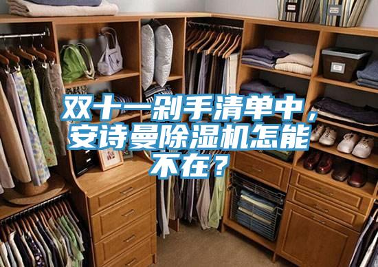 雙十一剁手清單中，安詩曼除濕機怎能不在？
