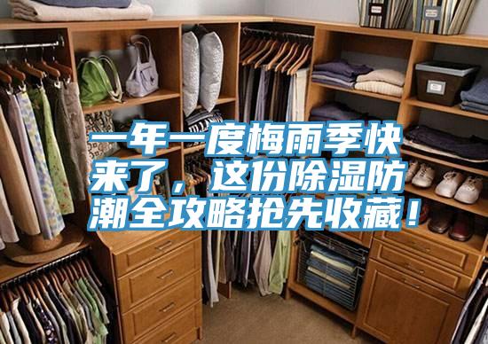 一年一度梅雨季快來了，這份除濕防潮全攻略搶先收藏！