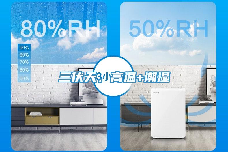 三伏天，高溫+潮濕