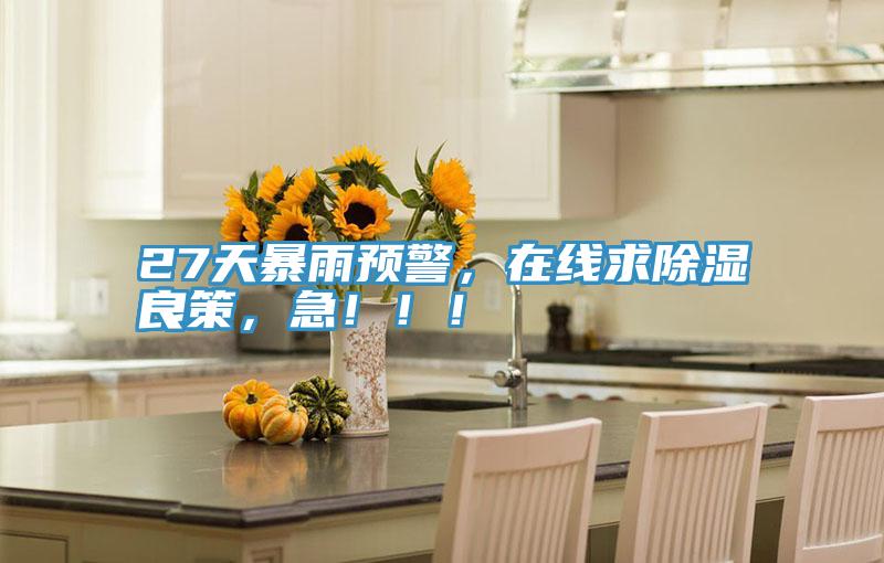 27天暴雨預(yù)警，在線求除濕良策，急?。?！