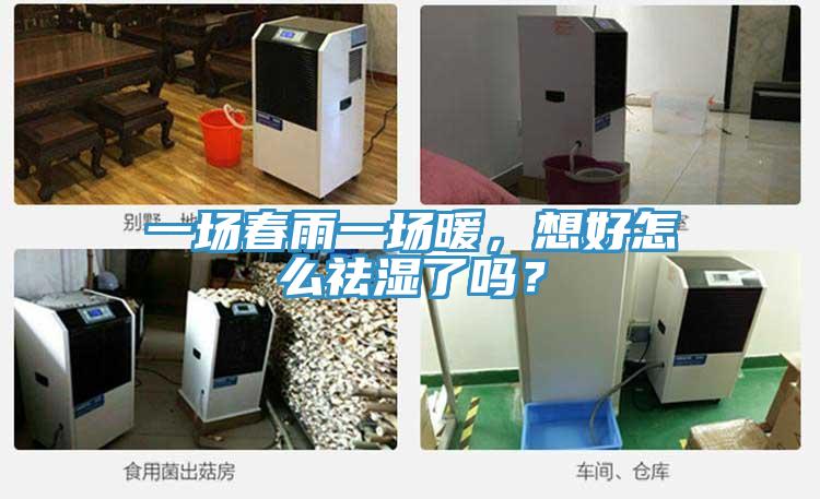 一場春雨一場暖，想好怎么祛濕了嗎？