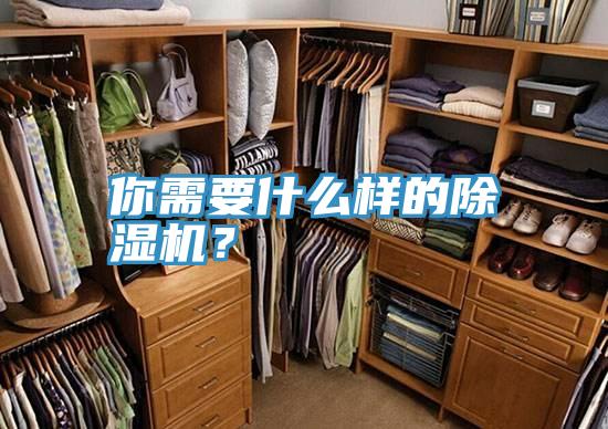 你需要什么樣的除濕機(jī)？