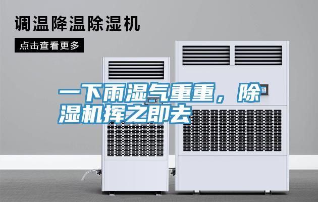 一下雨濕氣重重，除濕機揮之即去