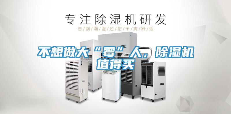 不想做大“霉”人，除濕機值得買