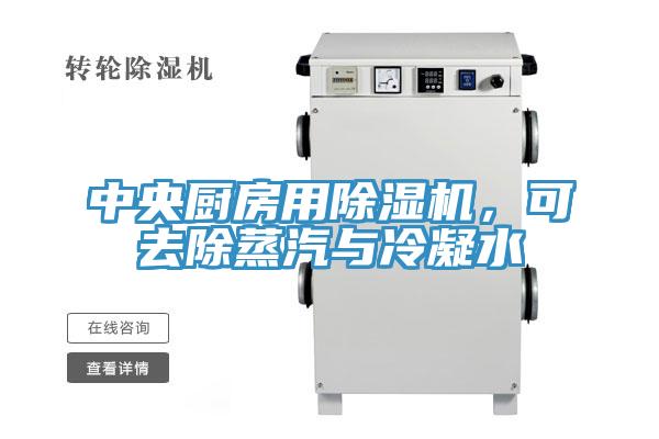 中央廚房用除濕機(jī)，可去除蒸汽與冷凝水