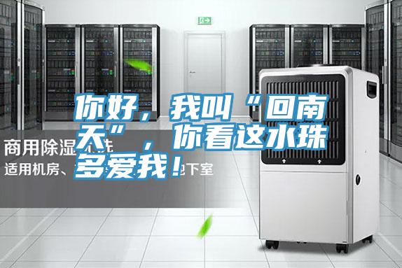你好，我叫“回南天”，你看這水珠多愛我！