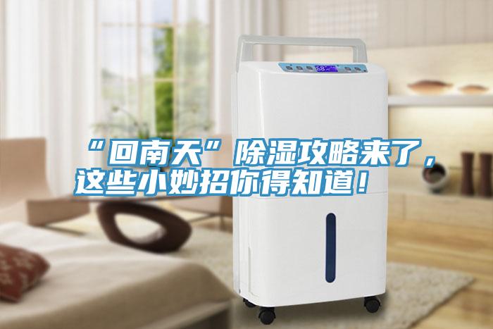 “回南天”除濕攻略來了，這些小妙招你得知道！