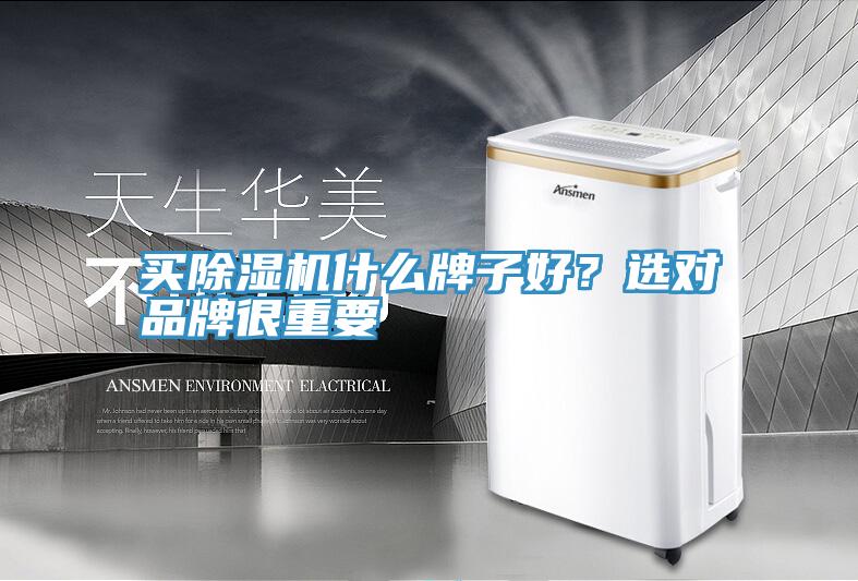 買除濕機(jī)什么牌子好？選對(duì)品牌很重要