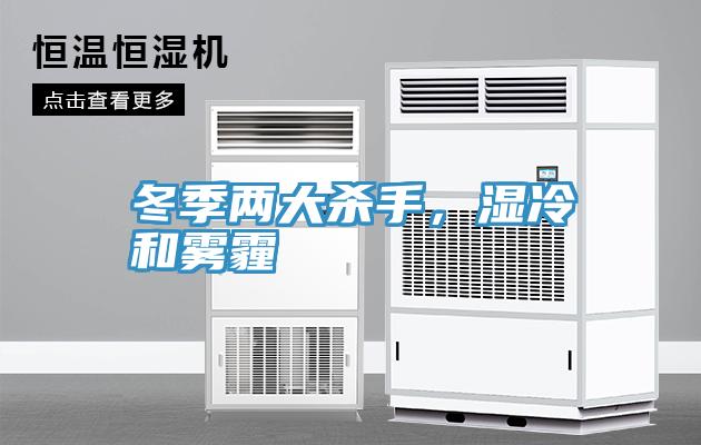 冬季兩大殺手，濕冷和霧霾