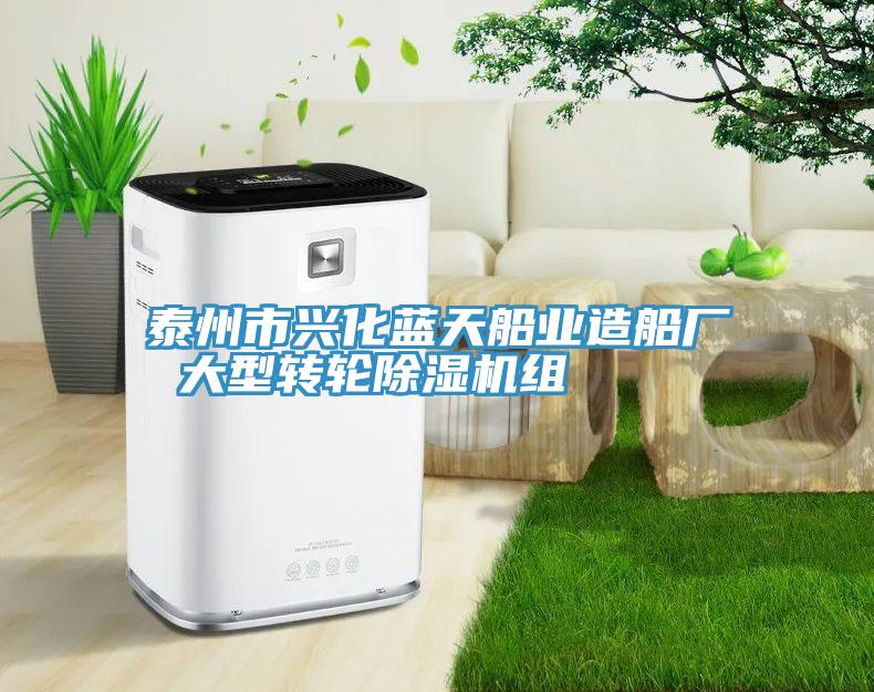 泰州市興化藍天船業(yè)造船廠 大型轉輪除濕機組