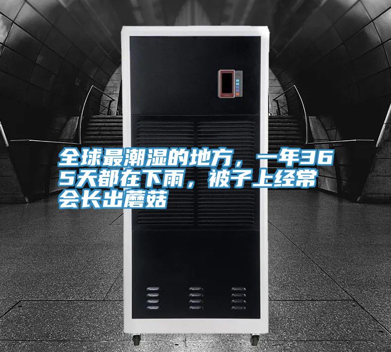 全球最潮濕的地方，一年365天都在下雨，被子上經(jīng)常會(huì)長(zhǎng)出蘑菇