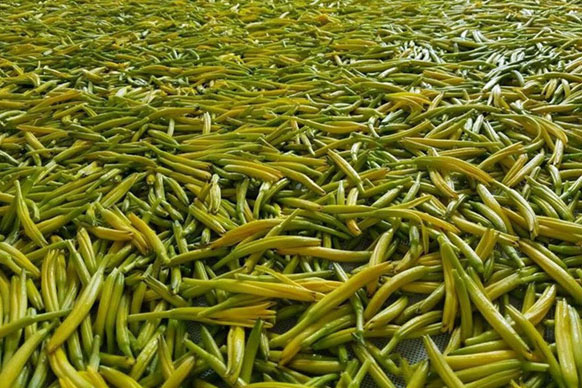 無硫金針菜烘干如何保持品相？不發(fā)黑？_除濕機廠家