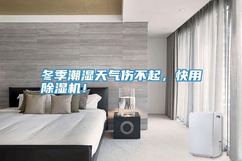 冬季潮濕天氣傷不起，快用除濕機(jī)！