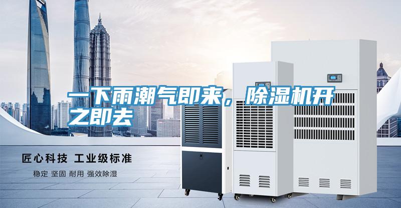 一下雨潮氣即來，除濕機開之即去