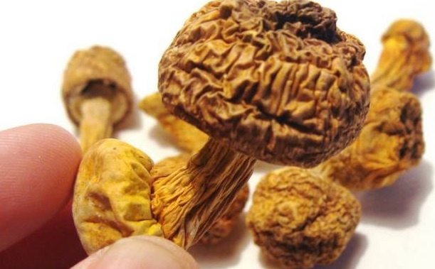 巴西菇、姬松茸烘干機(jī)-怎樣烘干色澤好且菇體褶片完整？