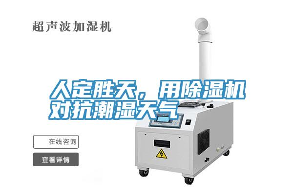 人定勝天，用除濕機對抗潮濕天氣