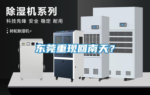 東莞重現(xiàn)回南天？