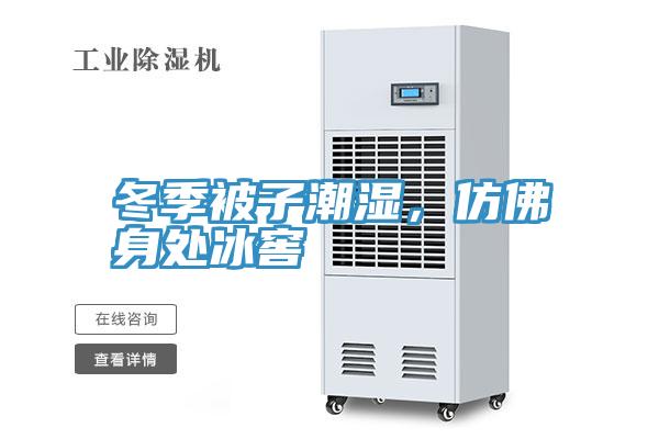 冬季被子潮濕，仿佛身處冰窖