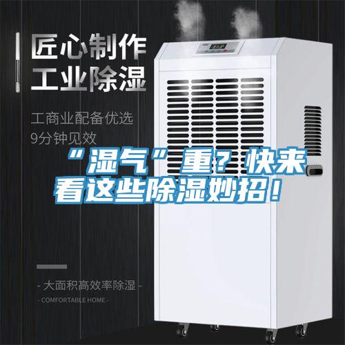 “濕氣”重？快來(lái)看這些除濕妙招！