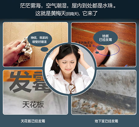 家庭別墅的地下室、衛(wèi)生間、儲物室等該如何除濕？