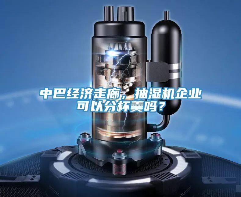 中巴經(jīng)濟走廊，抽濕機企業(yè)可以分杯羹嗎？
