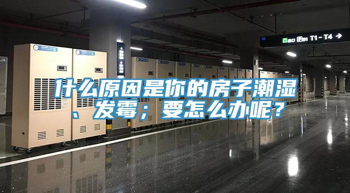 什么原因是你的房子潮濕、發(fā)霉；要怎么辦呢？