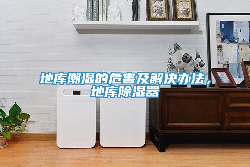 地庫潮濕的危害及解決辦法，地庫除濕器