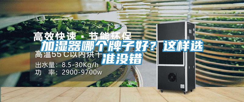 加濕器哪個(gè)牌子好？這樣選準(zhǔn)沒錯(cuò)