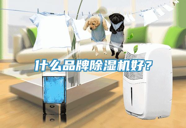 什么品牌除濕機(jī)好？